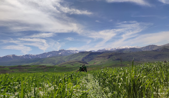 بهترین هتل بیساران